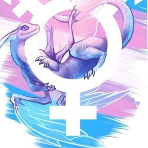 Meet your Posher, Max